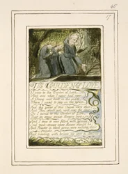 Le Jardin de l